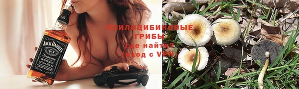 первитин Нея